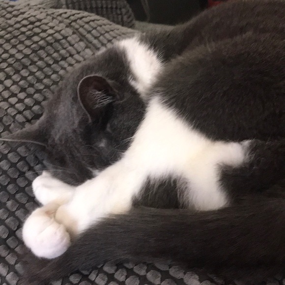 Meet your Posher, Arianne - Picture 1 of 1